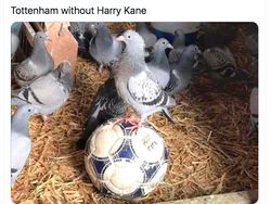 Meme Spurs Dilibas Chelsea, Mourinho Jadi Lakon