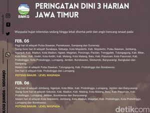Cuaca di Surabaya dan Sidoarjo Diprakirakan Hujan Disertai Petir