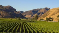 Santa Maria berlokasi di sekitar 65 mil sebelah utara Santa Barbara. Kota ini memberikan banyak fasilitas menarik yang sama seperti kota terkenal di California, namun dengan harga yang lebih murah. (Santa Maria Valley/instagram)