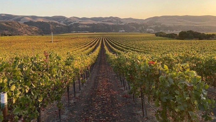 Santa Maria Valley