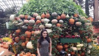 Plesiran ke Singapura, Intan tak melewatkan momen untuk pose di depan instalasi seni. Tumpukan labu parang membuat taman mini ini tampak unik. Dengan senyum manis, Intan memamerkan gigi putihnya.  Foto: instagram @intanratnajuwitaa
