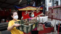 Mereka juga melakukan tradisi melepaskan burung usai sembahyang di Vihara Dharma Bhakti.