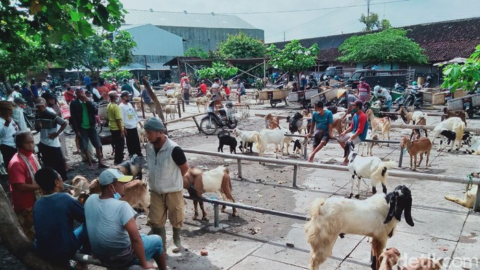 Situasi pasar hewan Plembon, Kecamatan Klaten Utara, Klaten, Jumat (5/2/2021).
