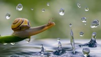 Kompetisi Travel Photographer of the Year ini menarik para fotografer amatir, semi-profesional dan profesional dari seluruh dunia. Alekseev mengambil foto ini di Myanmar.