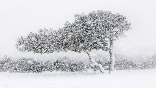Badai salju adalah pemandangan langka di Sardinia, Italia. Fotografer Alessandro Carboni beruntung dapat memotret momen ini. Badai salju adalah pemandangan langka di Sardinia, Italia. Fotografer Alessandro Carboni beruntung dapat memotret momen ini.
