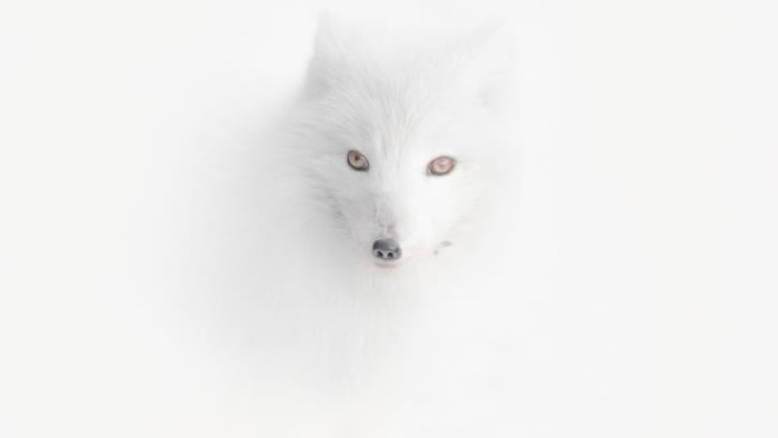 Travel Photographer of the Year 2020