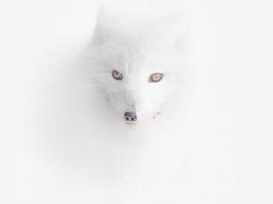 Menakjubkan, Ini Karya Fotografi Traveling Terbaik 2020