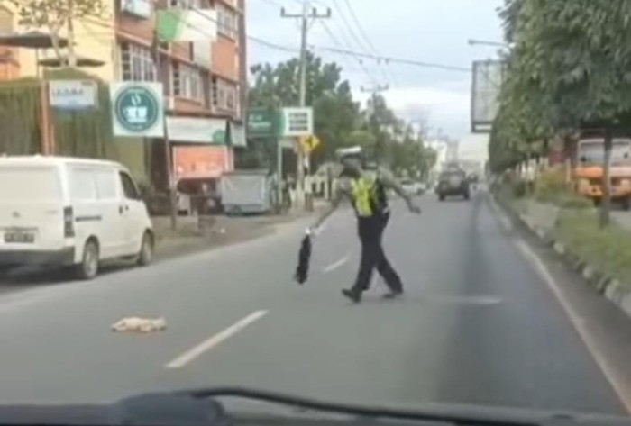 Aksi Polantas pindahkan kucing yang mati di tengah jalan viral (Screenshot video viral)