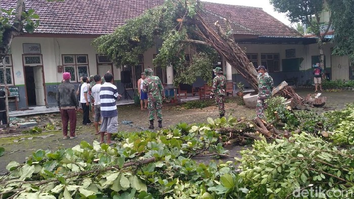 angin kencang di banyuwangi