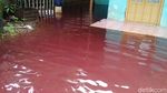 Aneh, Banjir Berwarna Merah Rendam Pekalongan