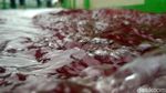Aneh, Banjir Berwarna Merah Rendam Pekalongan
