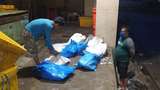 Polisi Tangkap Pencuri 297 Kg Ikan Cakalang di Muara Baru Jakut