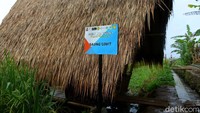 Sayang, untuk semantara waktu hanya tersedia 1 saung Leuit yang bisa dipakai untuk keluarga kecil sekitar 6-8 orang saja.