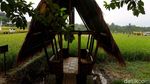 Foto: Hamparan Sawah yang Instagramable di Kota Bogor