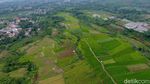 Foto: Hamparan Sawah yang Instagramable di Kota Bogor