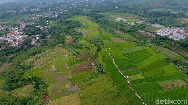 Kampung tematik Ciharashas, Harjamulya, Kota Bogor atau yang biasa dikenal Agro Edukasi Wisata Organik (AEWO) Mulyaharja, menyajiikan pemandangan hamparan sawah dan pegunungan nan instagramable. Nggak percaya? Tengok aja nih.