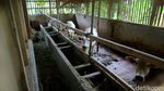 Komplet! Bermain Sambil Belajar di Kampung Tematik Mulyaharja, Bogor
