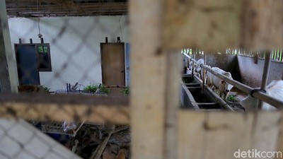 Komplet! Bermain Sambil Belajar di Kampung Tematik Mulyaharja, Bogor