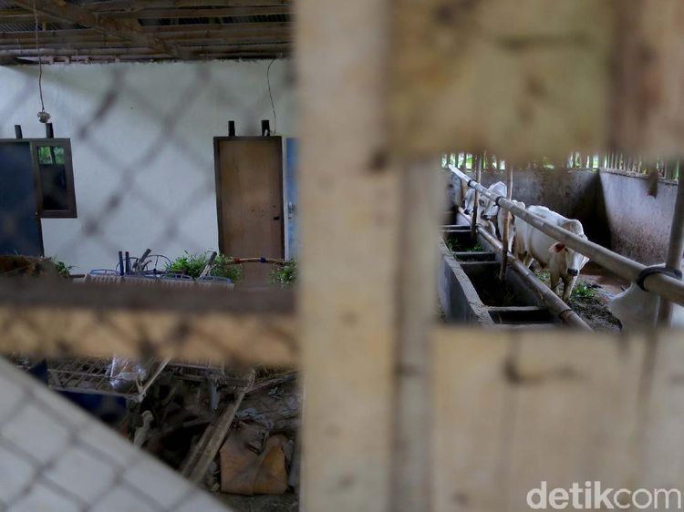 Komplet! Bermain Sambil Belajar di Kampung Tematik Mulyaharja, Bogor