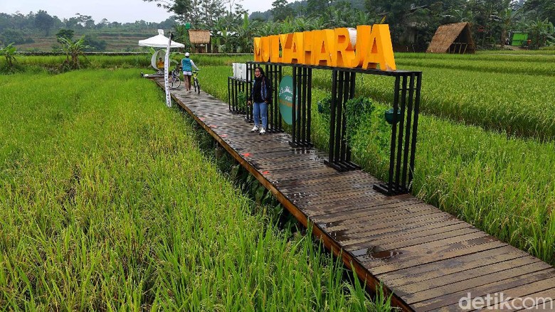 Ini Wisata Alam Baru di Bogor, Kampung Tematik Mulyaharja