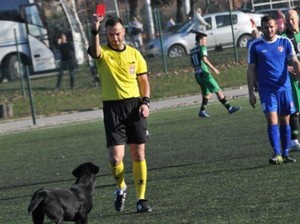 Dasar Anjing... Dikartu Merah Wasit deh, Ganggu Mulu sih