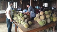 Pihak wisata menjamin harga durian lebih murah dibandingkan tempat lain, yaitu Rp 80 ribu per kilogram untuk jenis montong. Sedangkan yang lokal mulai dari Rp 50 ribu. (Sudirman Wamad/detikcom)