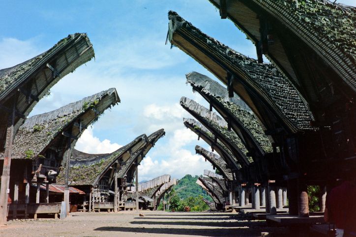 Lada Katokkon, Cabai Khas Toraja yang Pedasnya Menggigit