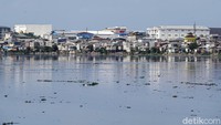 Waduk ini telah dinormalisasi oleh Joko Widodo saat menjabat Gubernur DKI Jakarta.