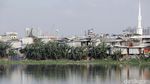 Melihat Kembali Permukiman Kumuh di Pinggir Waduk Pluit