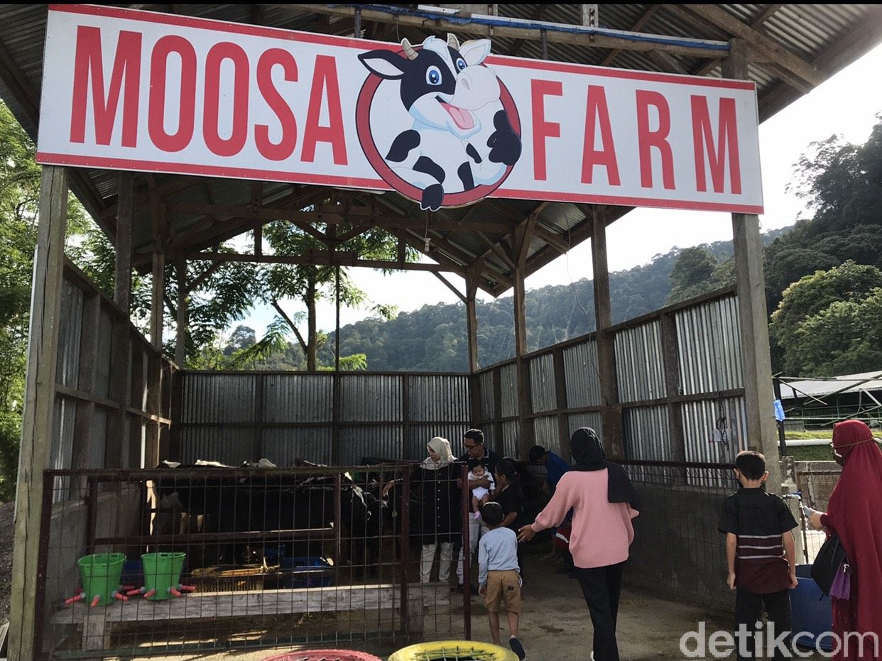 Moosa Edufarm Solok