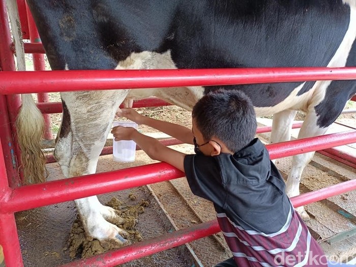Moosa Edufarm Solok