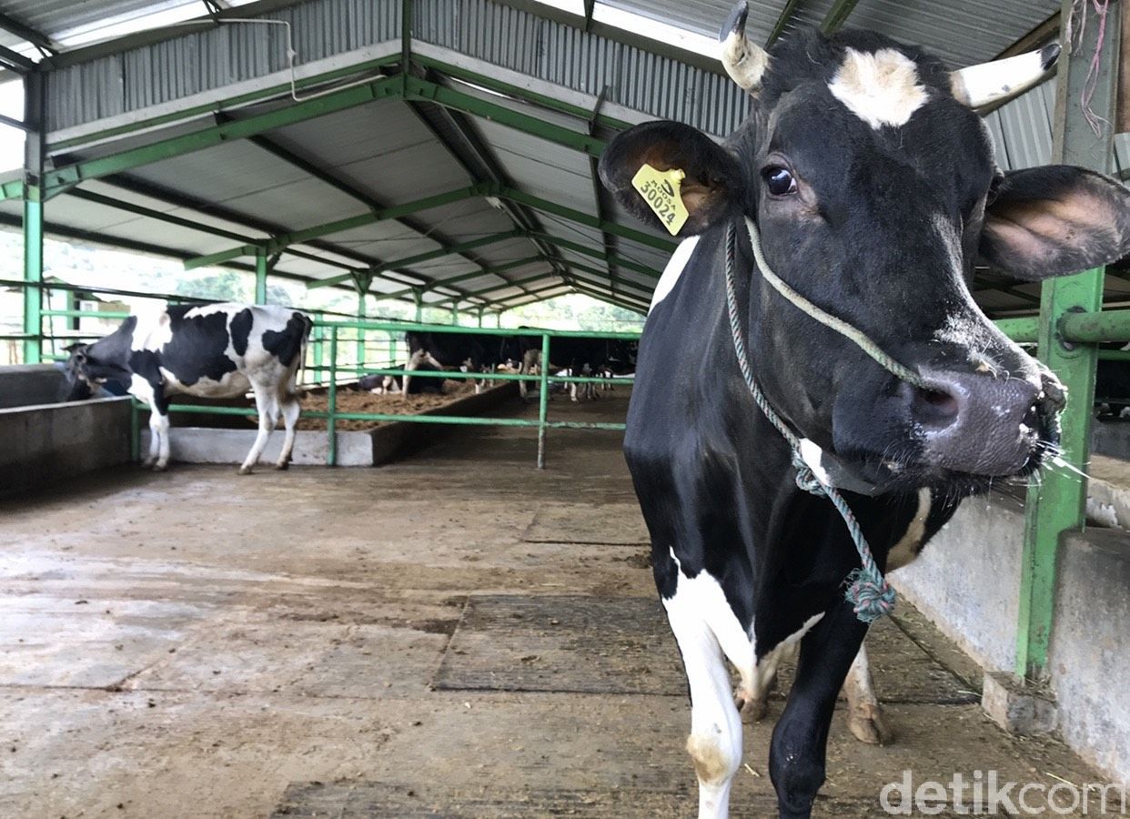 Moosa Edufarm Solok