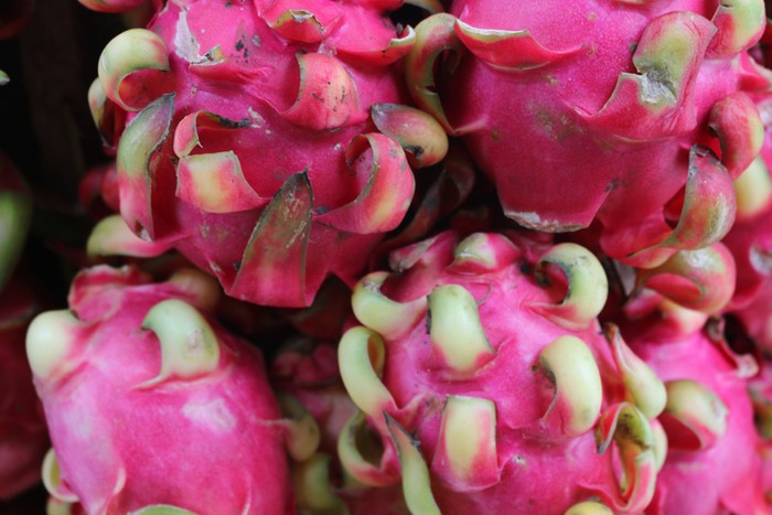 Harga Anjlok! 5 Petani Ini Buang Sayuran hingga Buah Naga ke Sungai