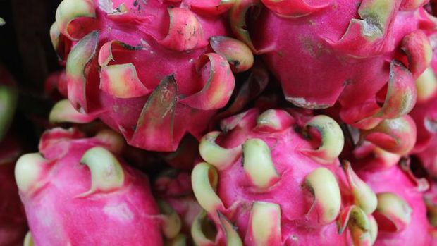Harga Anjlok! 5 Petani Ini Buang Sayuran hingga Buah Naga ke Sungai