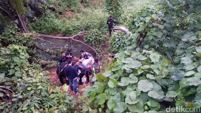 Petiugas gabungan berhasil mengamankan harimau benggala bernama Tora yang lepas dari kandangnya di Sinka Zoo (dok Istimewa)