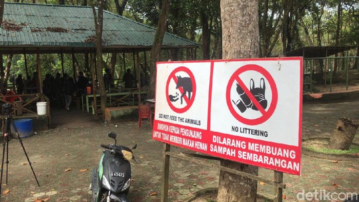 Suasana pencarian harimau lepas di Sinka Zoo Singkawang Kalbar (Adi Saputro/detikcom)