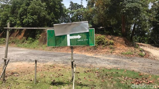 Suasana pencarian harimau lepas di Sinka Zoo Singkawang Kalbar (Adi Saputro/detikcom)