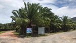 Potret Petugas Buru Harimau Lepas Sinka Zoo, Drone Dikerahkan