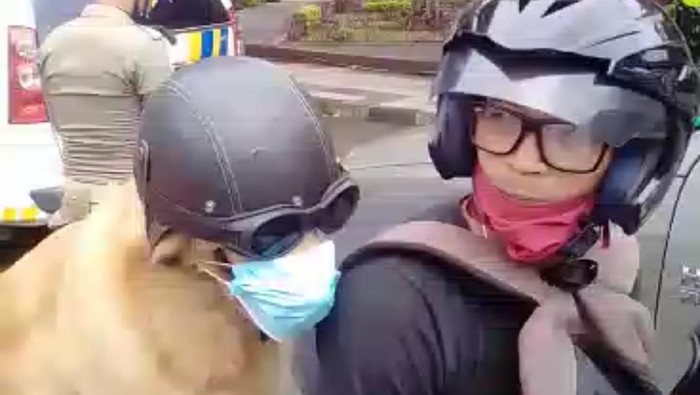 Viral Anjing di tasikmalaya taat prokes