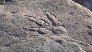 Jejak Kaki Dinosaurus Ditemukan di Pesisir Pantai Inggris, Bentuknya Mirip Megalosaurus