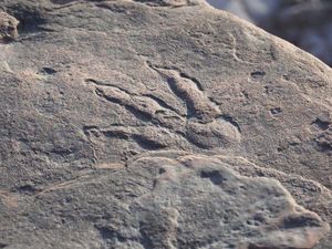 Jejak Kaki Dinosaurus Ditemukan di Pesisir Pantai Inggris, Bentuknya Mirip Megalosaurus
