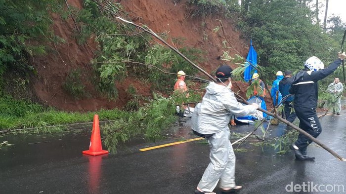 Jalur puncak Cianjur tertutup akibat longsor dan pohon tumbang