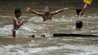 Mereka tampak gembira berenang di air banjir.