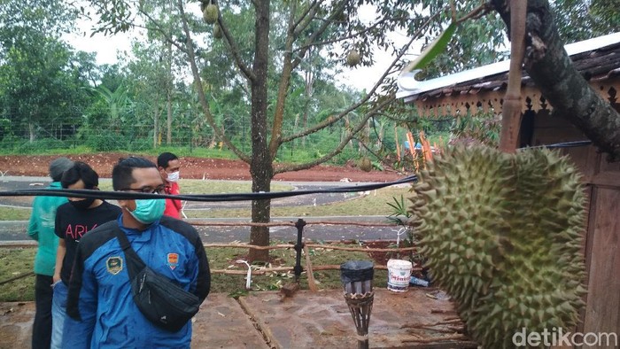 Kopi Montong Kopi Montong