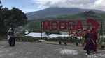 Foto: Memerah Susu Sapi dan Menikmati Strawberry di Moosa Edufarm