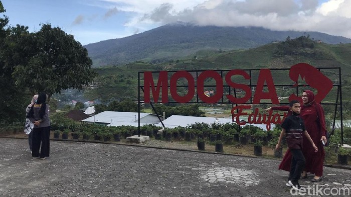 Moosa Edufarm