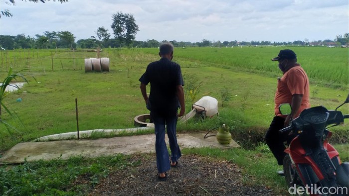 Sawah di Madiun Akan Disulap Jadi Pasar Muamalah