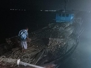 Bea Cukai Riau Gagalkan Penyelundupan Ribuan Kayu ke Malaysia