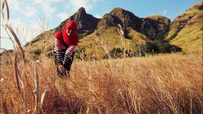 17 Pulau Cantik Ini Berkumpul di Utara Flores