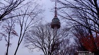 view namsan dikelilingi pohon yang indah